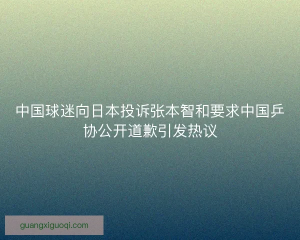 中国球迷向日本投诉张本智和要求中国乒协公开道歉引发热议