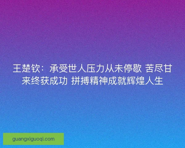 王楚钦：承受世人压力从未停歇 苦尽甘来终获成功 拼搏精神成就辉煌人生